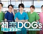 《初恋UNDER DOGs 败犬与初恋1-6》动漫在线观看全集免费完整版