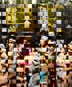 《鸭王1》电视剧粤语在线观看全集高清完整版