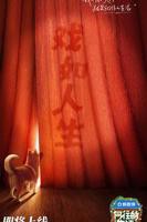 《向往的生活》第8季免费观看完整版