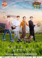 《向往的生活 第二季》完整版免费在线观看