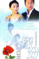 《缘分的天空》免费观看高清完整版_电视剧全集在线播放